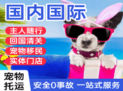 尧都空运地址国际宠物托运 【国